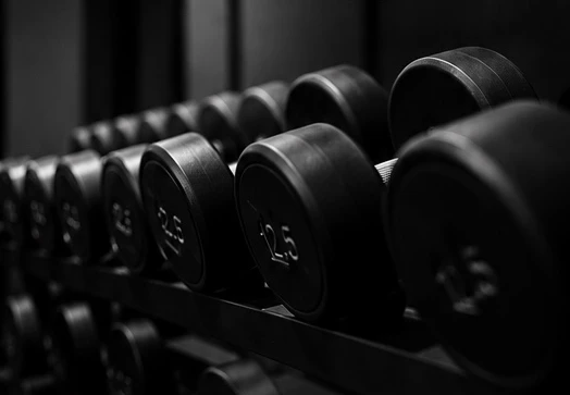 Manubri in palestra
